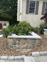 IMG_1167.jpeg