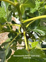 IMG_1171.jpeg