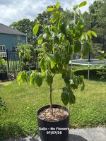 IMG_1175.jpeg