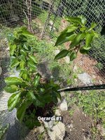 IMG_1199.jpeg