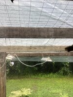 IMG_7883.jpeg