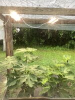 IMG_7882.jpeg
