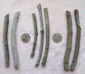 Hardy Chicago cuttings.jpg Hardy Chicago cuttings.jpg