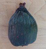 20260609_172612.jpg