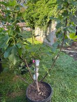 IMG_4573.jpeg