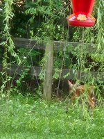 20260612_132559.jpg