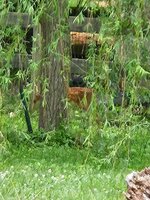 20260612_132556.jpg