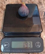 1000021760.jpg