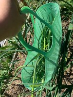 IMG_3311.jpeg