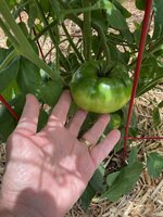 IMG_3091.jpeg