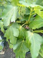 IMG_20260616_134737.jpg