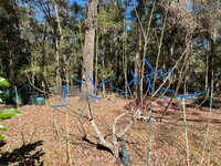 IMG_1882.jpeg IMG_1882.jpeg