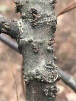 IMG_6094.JPG IMG_6094.JPG