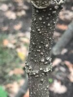 IMG_6093.JPG IMG_6093.JPG