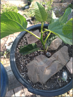 Screenshot 2025-01-12 at 12.28.31 AM.png