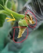 IMG_2766.jpeg IMG_2766.jpeg