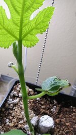 IMG_2767.jpeg IMG_2767.jpeg