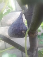 20220601_165102.jpg