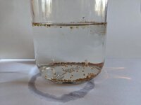 IMG_2609.jpeg