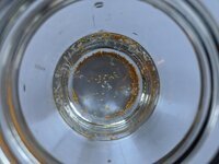 IMG_2610.jpeg