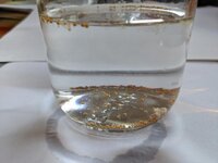IMG_2608.jpeg