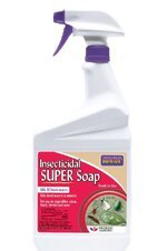 insecticidal soap.JPG