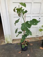 IMG_1793.jpeg
