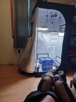 20250131_101745.jpg 20250131_101745.jpg