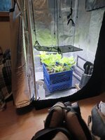 20250317_075459.jpg