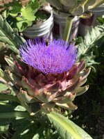 IMG_0037.jpg IMG_0037.jpg