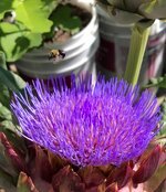 IMG_0038.jpg IMG_0038.jpg