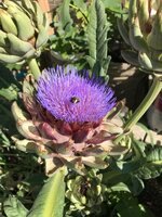 IMG_0040.jpg IMG_0040.jpg