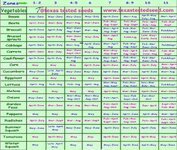 IMG_2582.jpeg