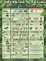 IMG_2603.jpeg