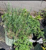 IMG_2214.jpeg