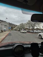 IMG_20250325_124504231_HDR.jpg IMG_20250325_124504231_HDR.jpg