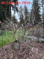 IMG_6587a.jpg IMG_6587a.jpg