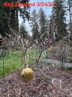 IMG_6587_3.jpg IMG_6587_3.jpg