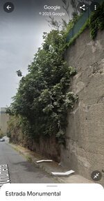1000005353.jpg