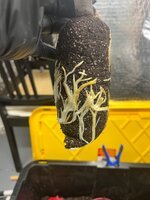 IMG_8730.jpeg