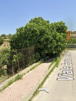 IMG_7606.jpeg