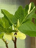 IMG_9091.jpeg