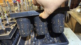 IMG_7344.jpeg