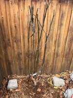 IMG_3459.jpeg