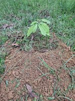 20250426_113626.jpg 20250426_113626.jpg