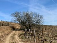 IMG_0627.JPG