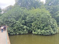 IMG_9482.jpeg