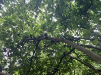 IMG_9477.jpeg