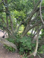 IMG_9476.jpeg