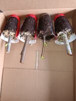 1000006299.jpg 1000006299.jpg